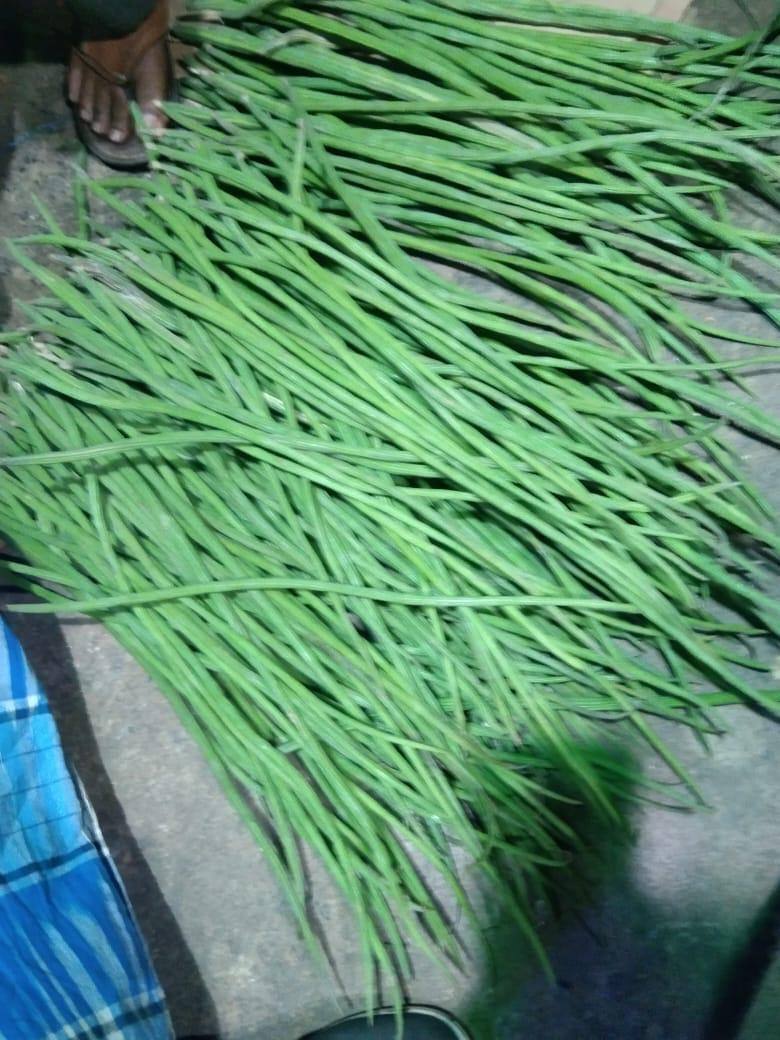 frutnveg 11