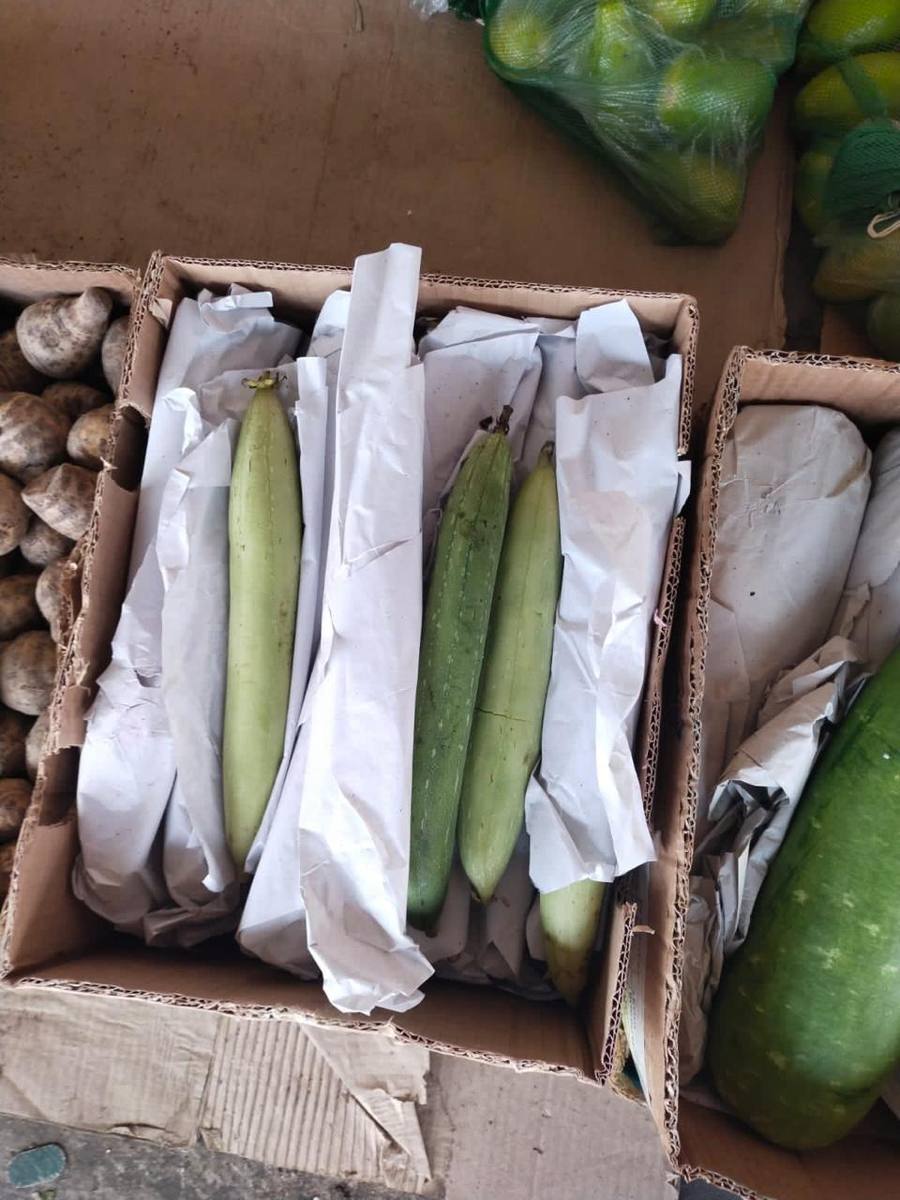 frutnveg 2