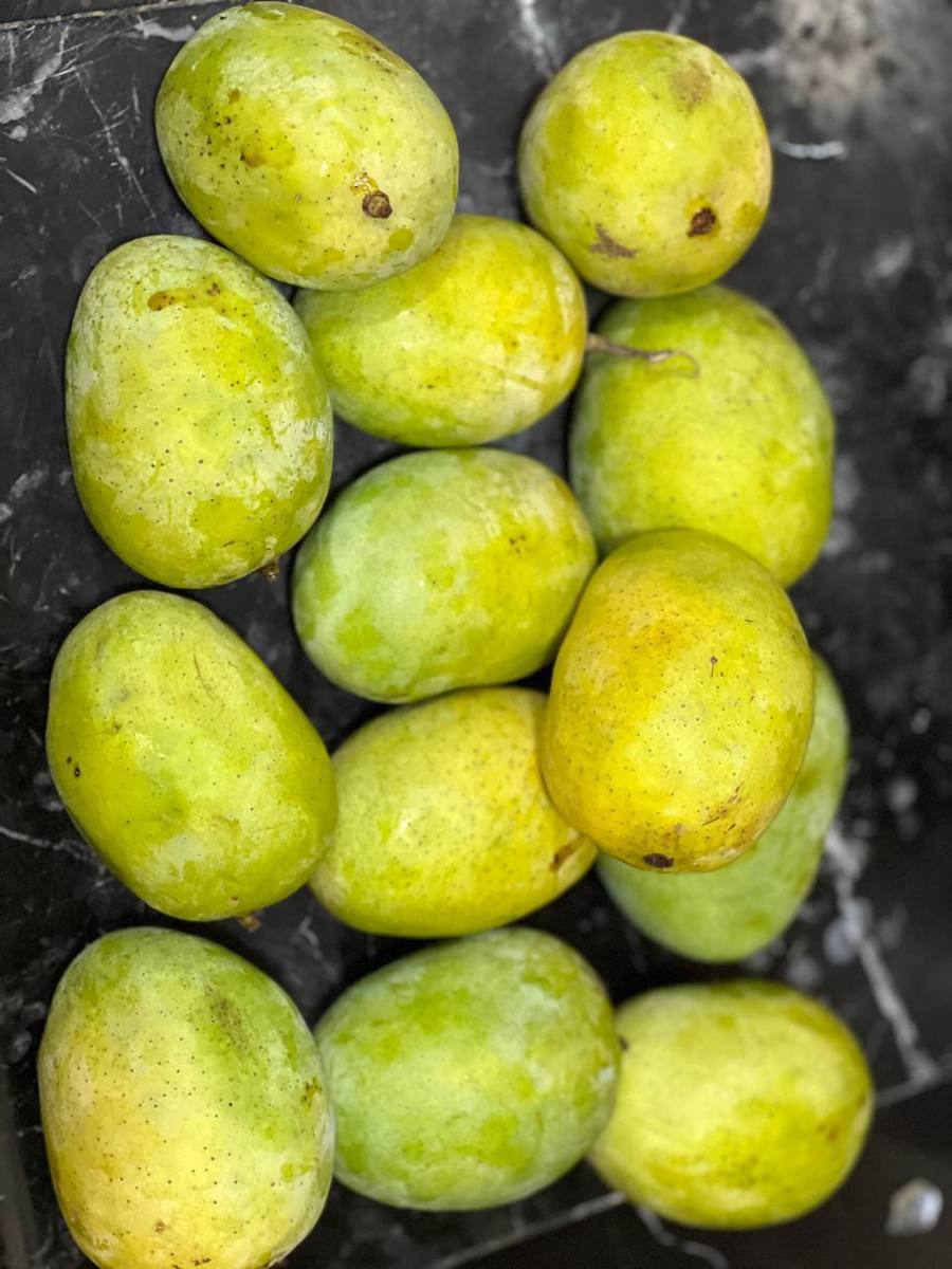 frutnveg 25