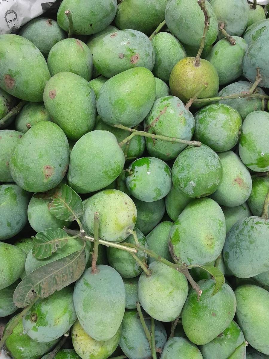frutnveg 29